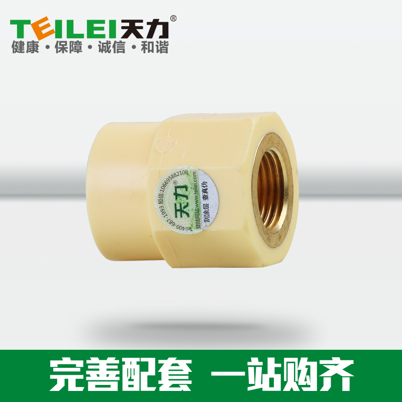 天力管水管 PPR水管 抗菌6分管承口内螺纹接头25 20  6分管件